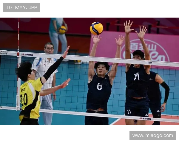 杭州排球队在全国排球灵活性排行榜中荣获第九名展现出强劲实力与潜力