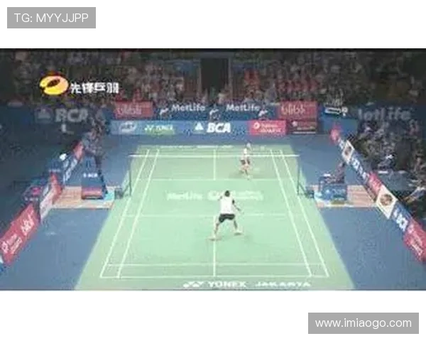 世界锦标赛点评：北京羽毛球队的战术表现